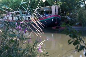 Le Canal du Midi