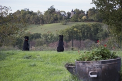 Les Beaucerons  chiens de Berges