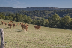 LA VICOMTÉ DE TURENNE