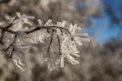 Cristeaux de glace