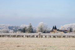 Pescadoires sous la glace