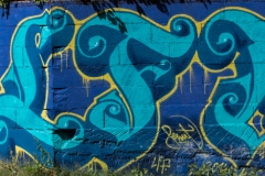 15050701278_00c3f952b7_o